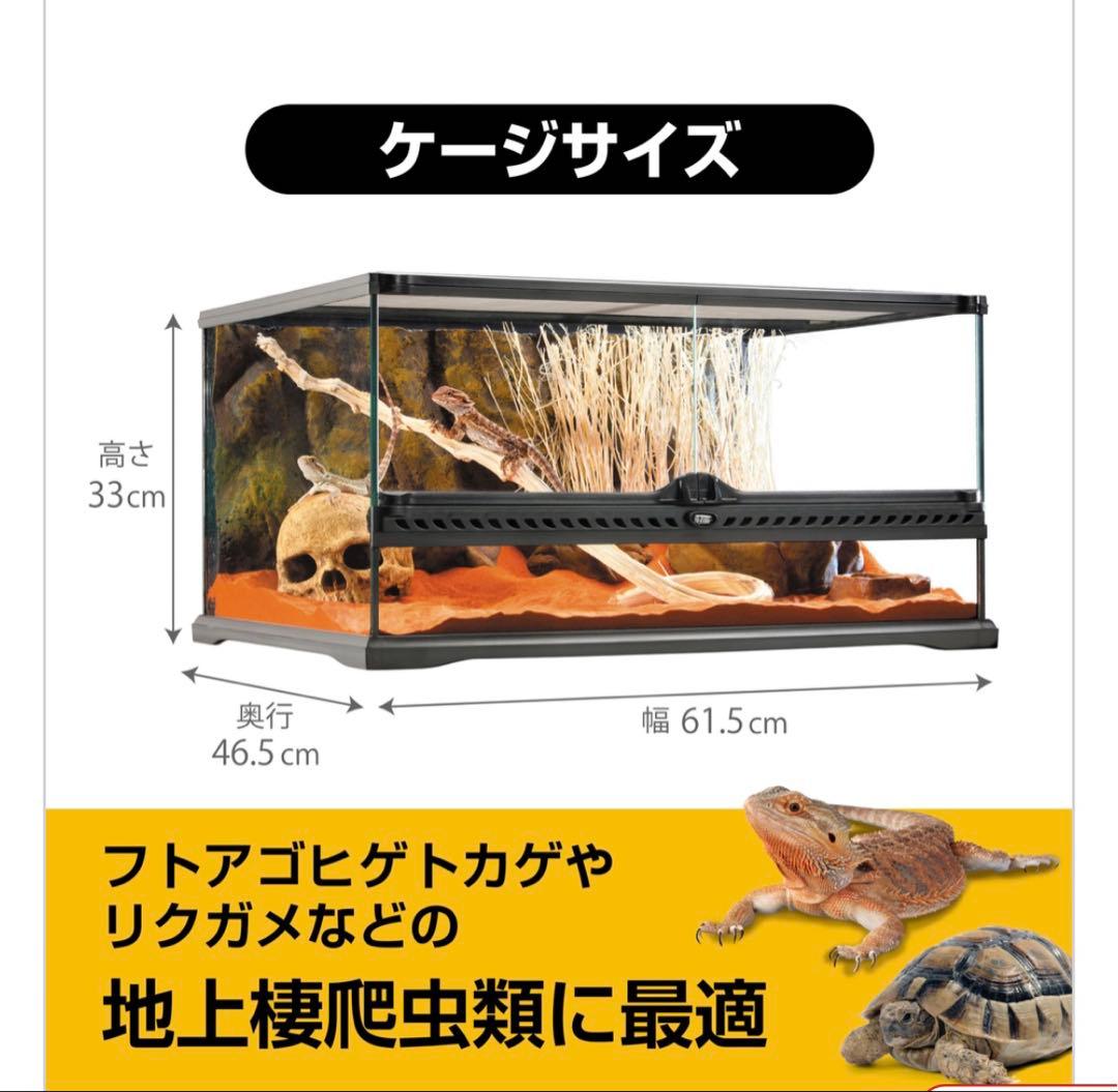 【0825】GLASS TERRARIUM 6030 飼育セット