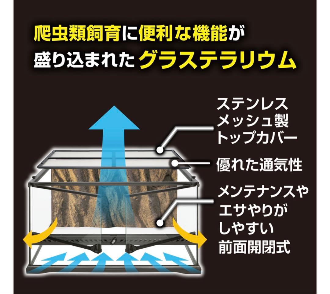 【0825】GLASS TERRARIUM 6030 飼育セット