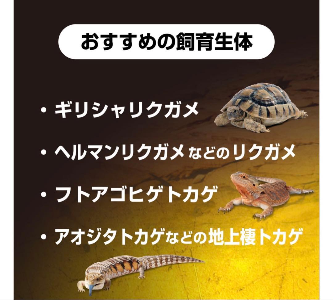 【0825】GLASS TERRARIUM 6030 飼育セット