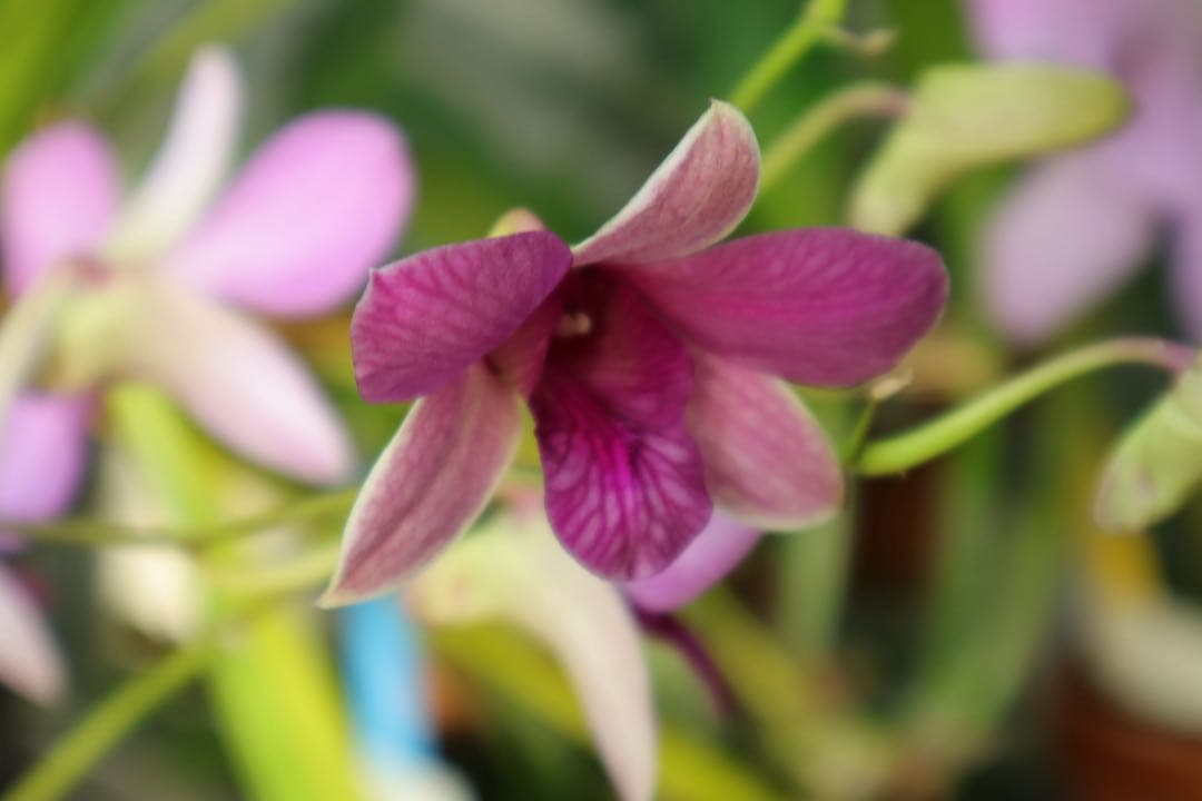 【極上美品】Canon EOS Kiss M レンズ×3個セット