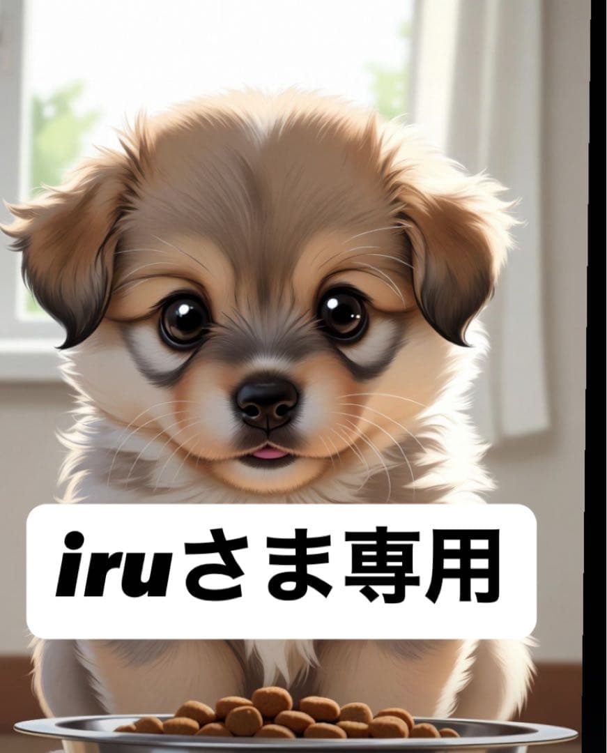 iruさま専用②