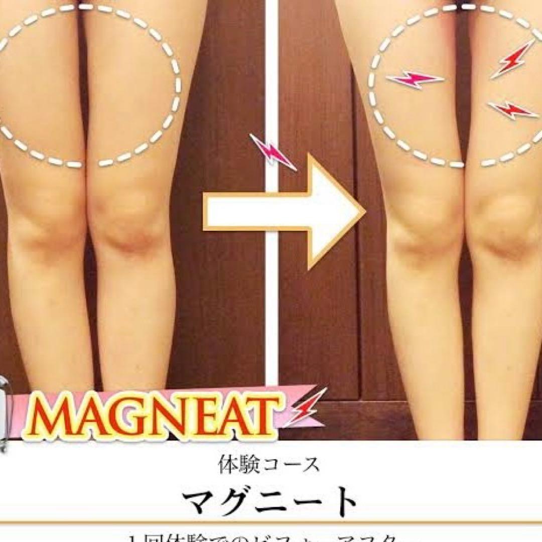 【寝ながら筋トレ痩せマシン】マグニート(関東近辺なら配送出来ます)