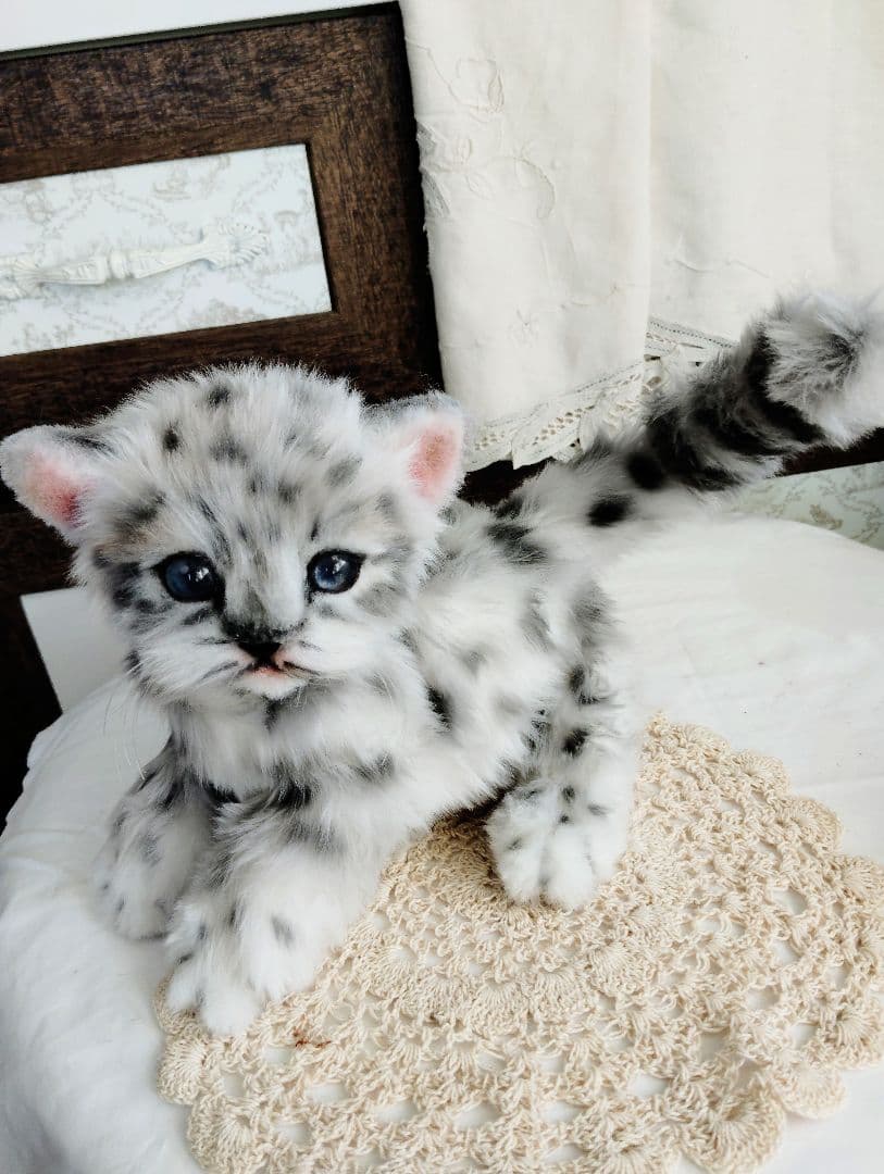 a様オーダー❤ユキヒョウ♡コウモリ♡子猫ちゃん♡アートドール♡ぬいぐるみ♡