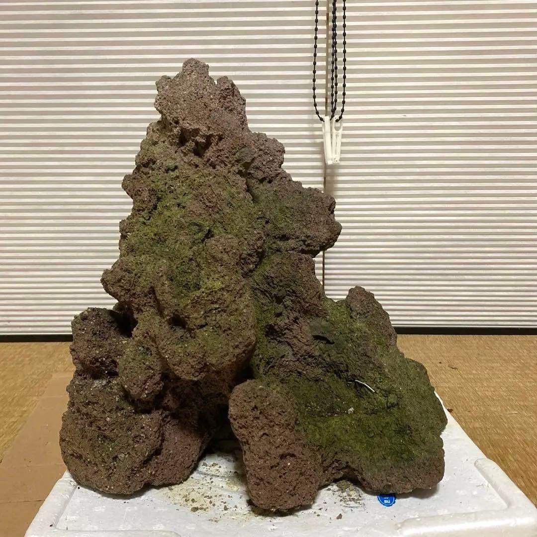 【美形】軽石　岩石　水槽　装飾 アクアリウム　NO4