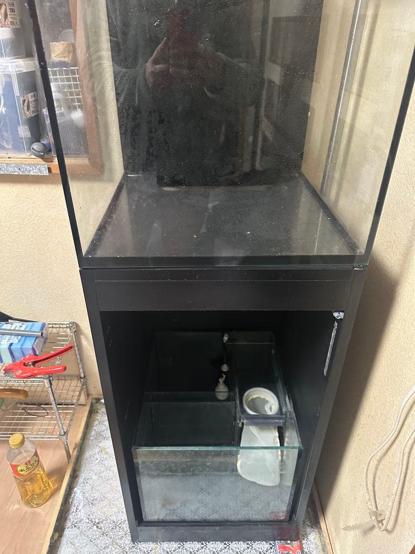 オーバーフロー水槽レッドシーリーファーNANO