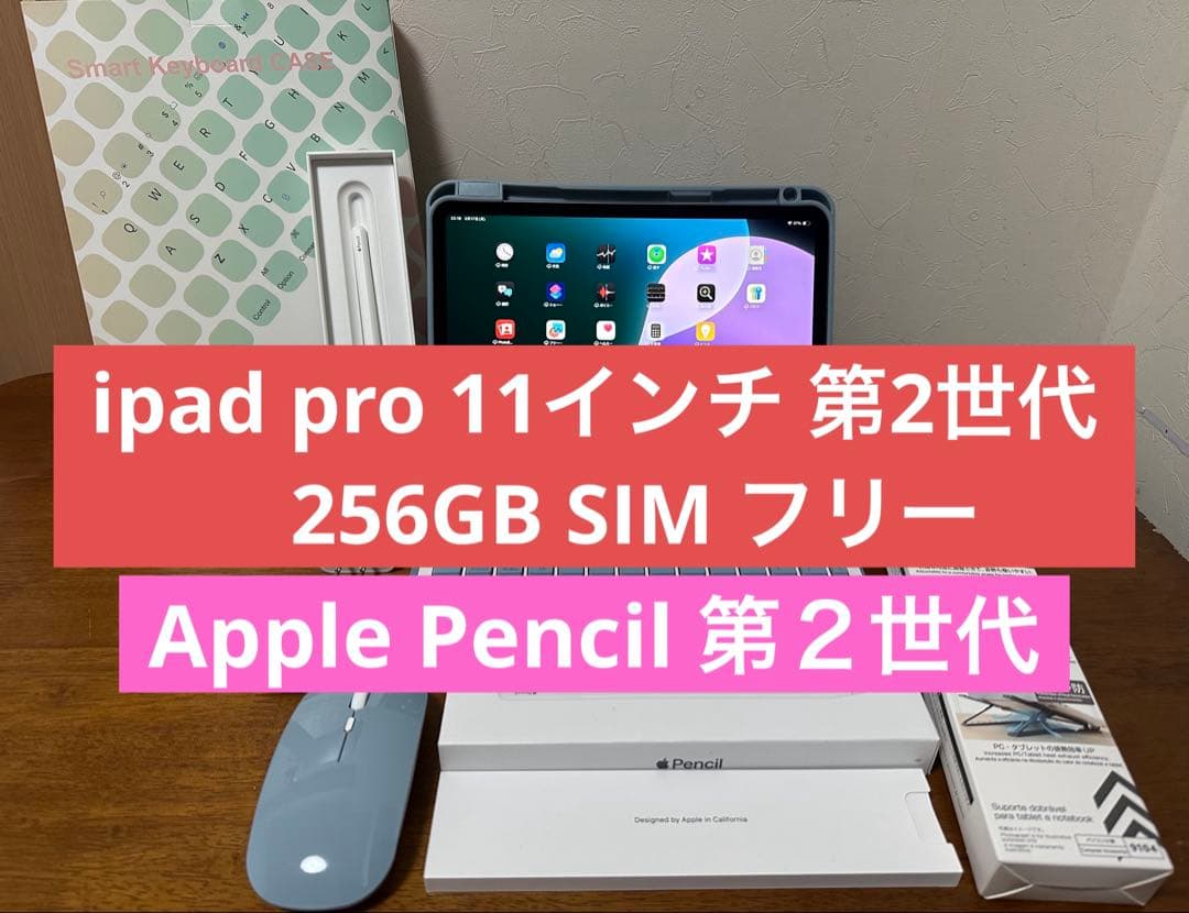 【極美品】 ipad pro 11インチ 第2世代 256GB SIM フリー