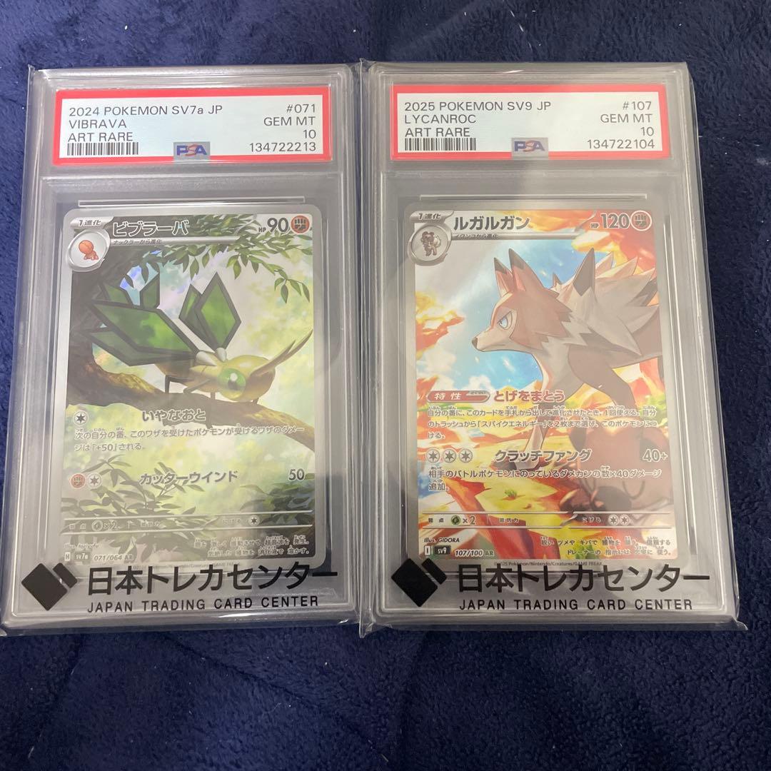 ビブラーバ　ar psa10 ルガルガン ar psa10