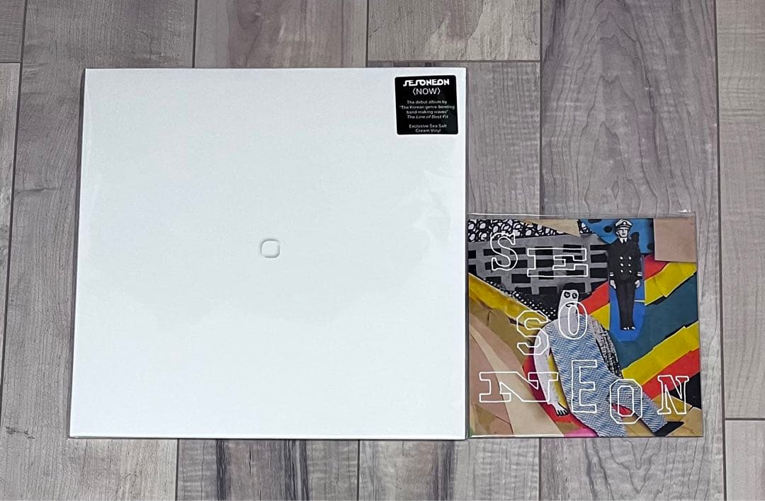 se so neonレコード2枚セット