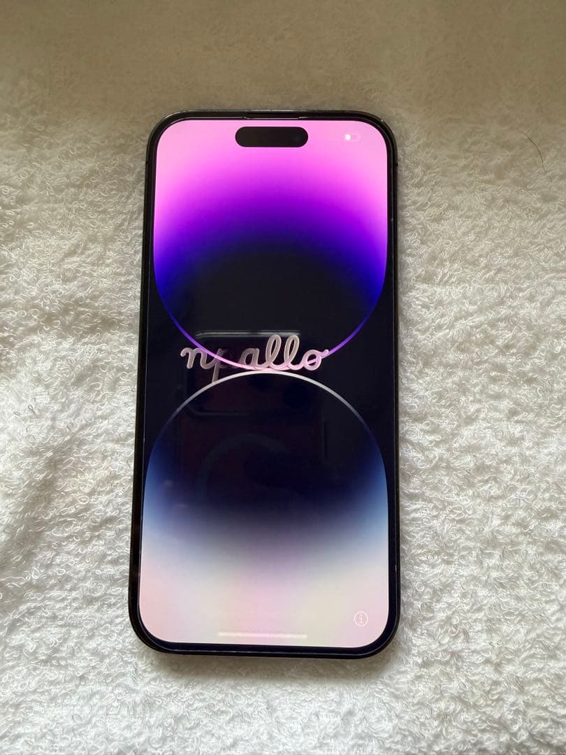 Apple iPhone 14 Pro イヤフォン、充電ケーブル付