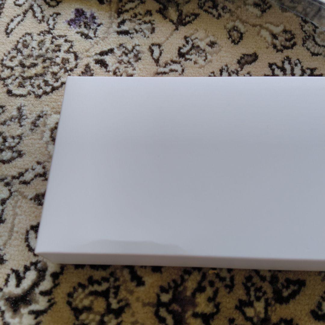 楽ちんヒアリング SA-01（耳穴型集音器）