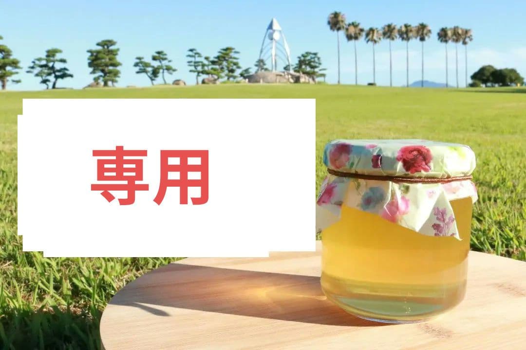 日本蜜蜂　はちみつ　プレゼント　ラッピング　200g ニホンミツバチ　おしゃれ