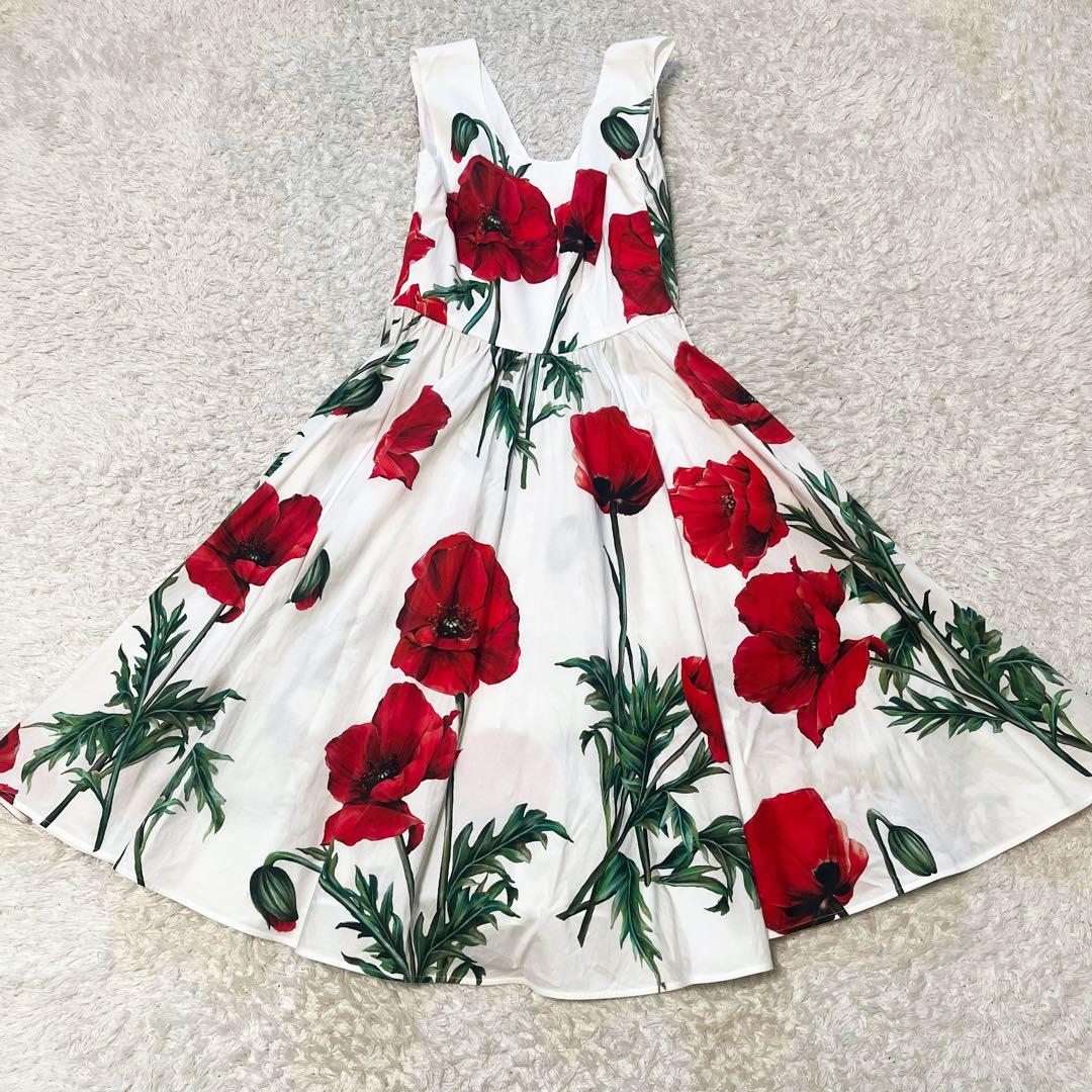 DOLCE&GABBANA ポピーサークル ポプリンドレス 花柄 42