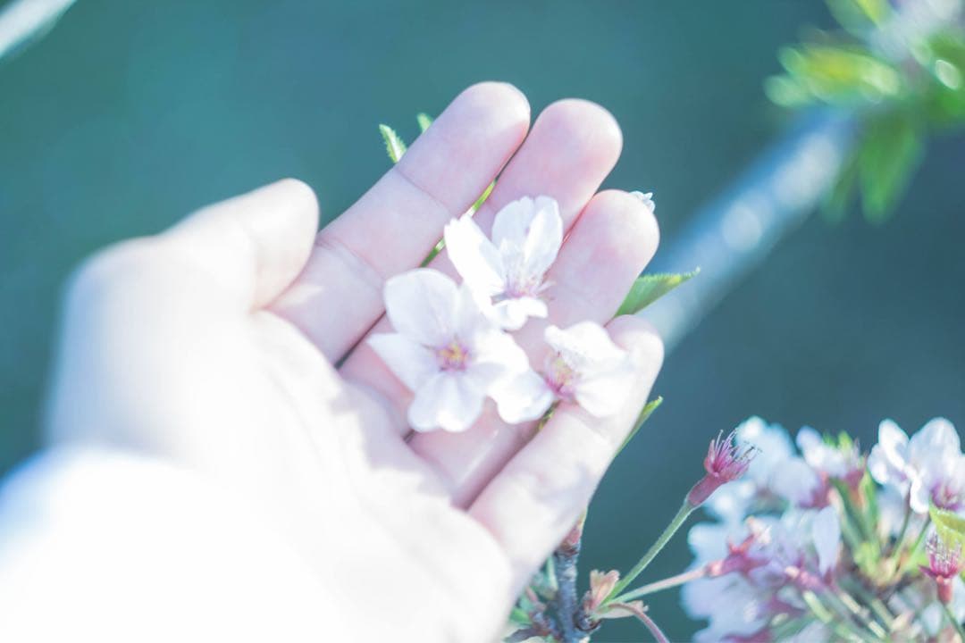 ヘリオス44 58mm F2 M42 オールドレンズ ぐるぐるボケ