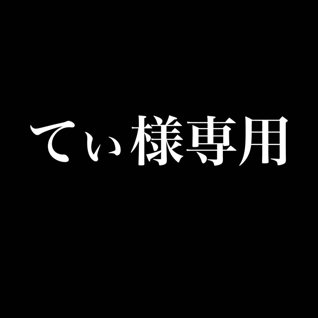 てぃ【ニトリ】布Nシールド、カウチソファ、グレー