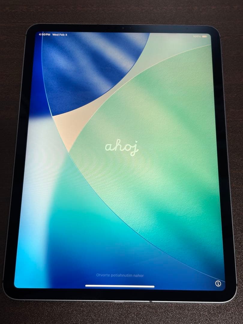 iPad Pro (第2世代) 11インチ 256GB Cellular