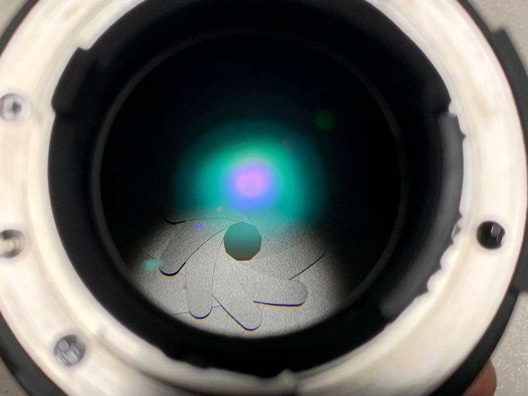 レンズ(単焦点) NIKON AF DC nikkor 105mm 1:2 D