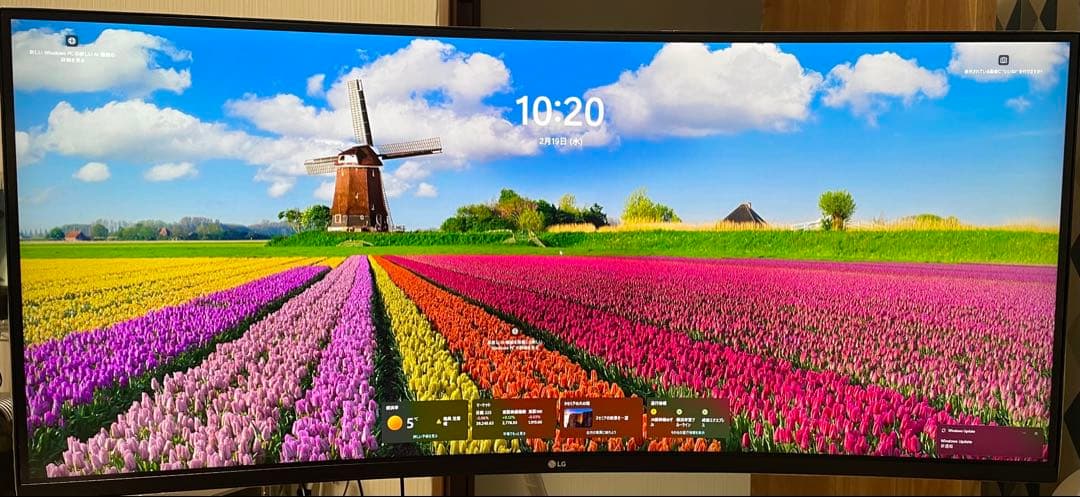 LG 35WN75C-B 35インチ ディスプレイ モニター