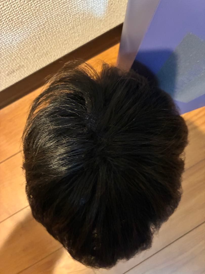 美品　フォンテーヌ　人毛ミックス　ウィッグ　ショート　医療用にも