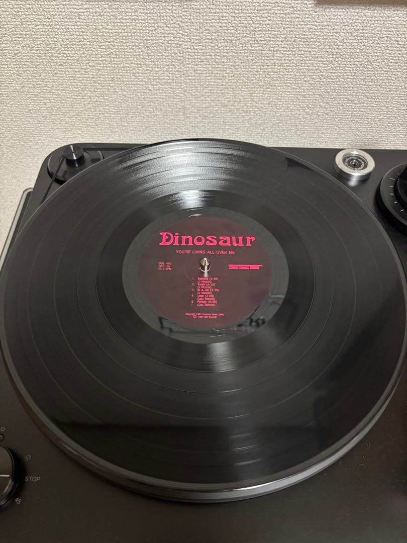 【希少盤】Dinosaur jr. レコード 初版