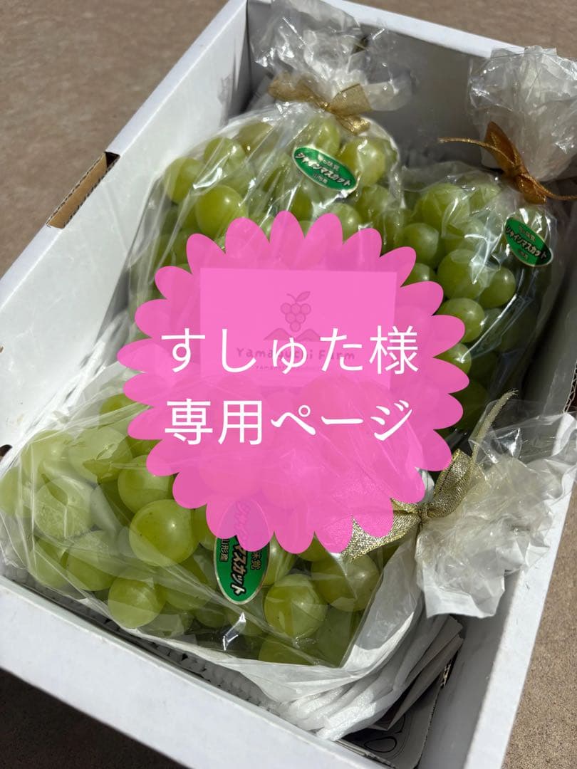 専用ページ　シャインマスカット　クイーンニーナ