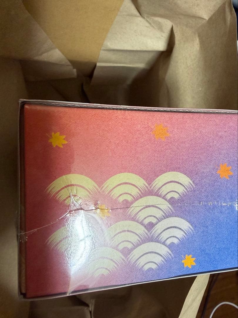 スペシャルBOX ヒロシマ　ポケモンセンターシュリンク付き