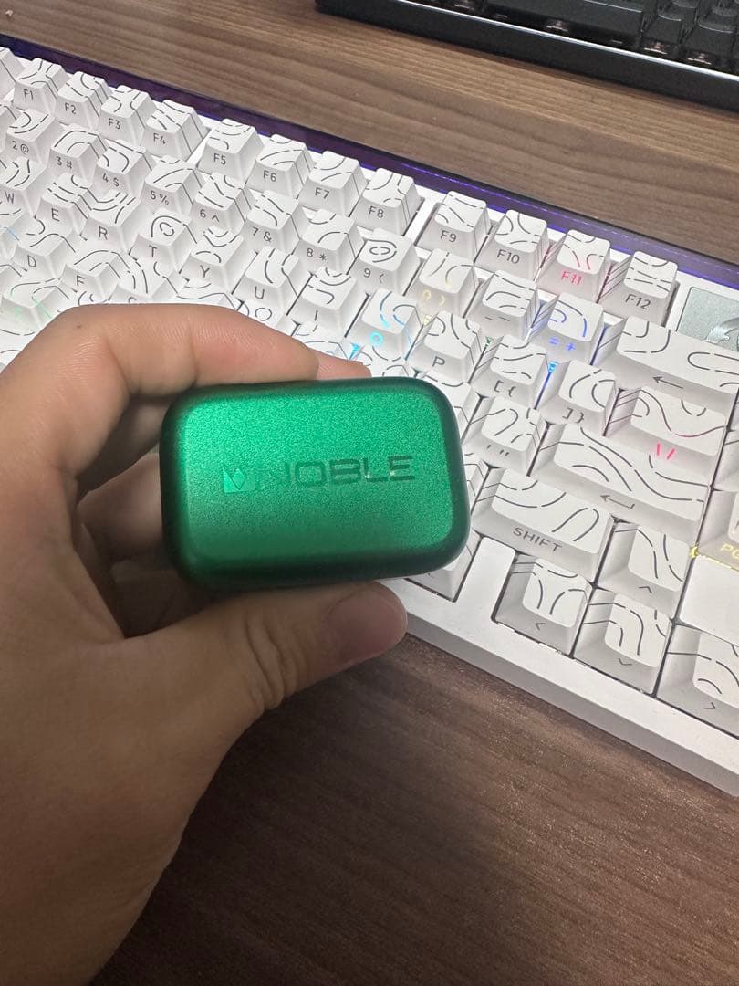 NOBLE ワイヤレスイヤホンケース グリーン