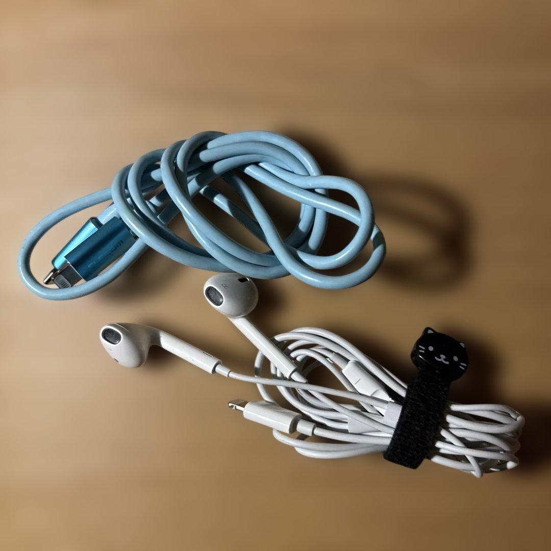 iPad 第6世代 32GB Wi-Fi 91% ケース,イヤホン,コードおまけ