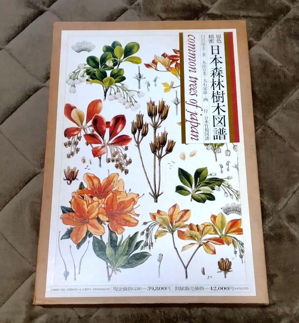 原色精密 日本森林樹木図譜 日本竹類図譜付　大型本 初版本