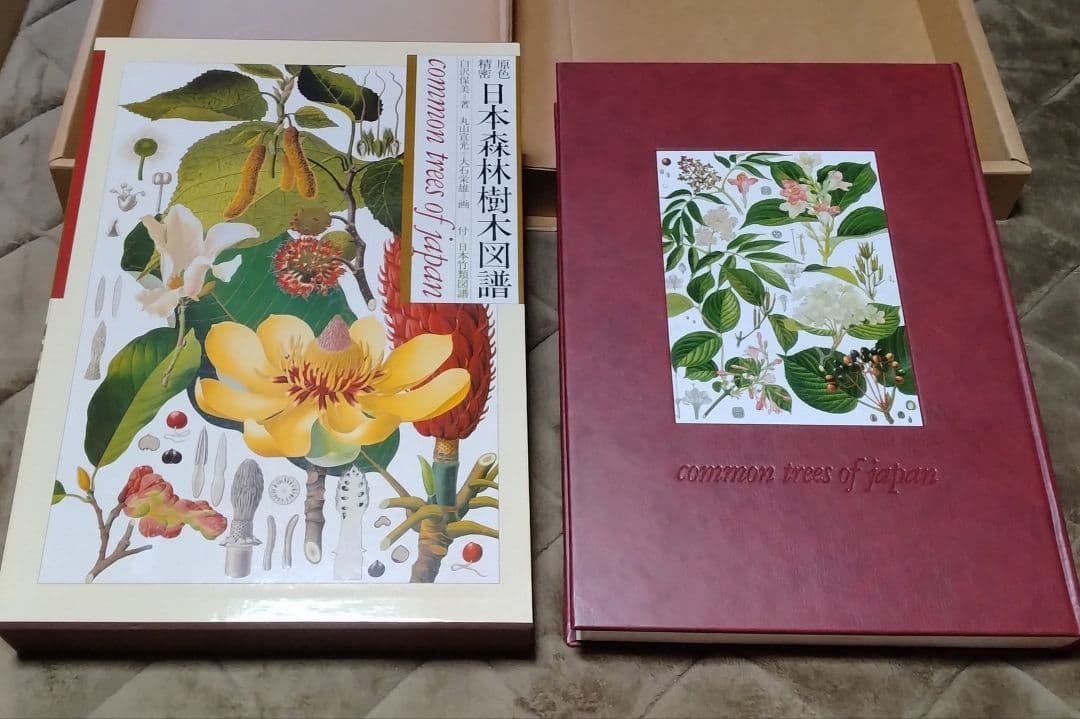 原色精密 日本森林樹木図譜 日本竹類図譜付　大型本 初版本