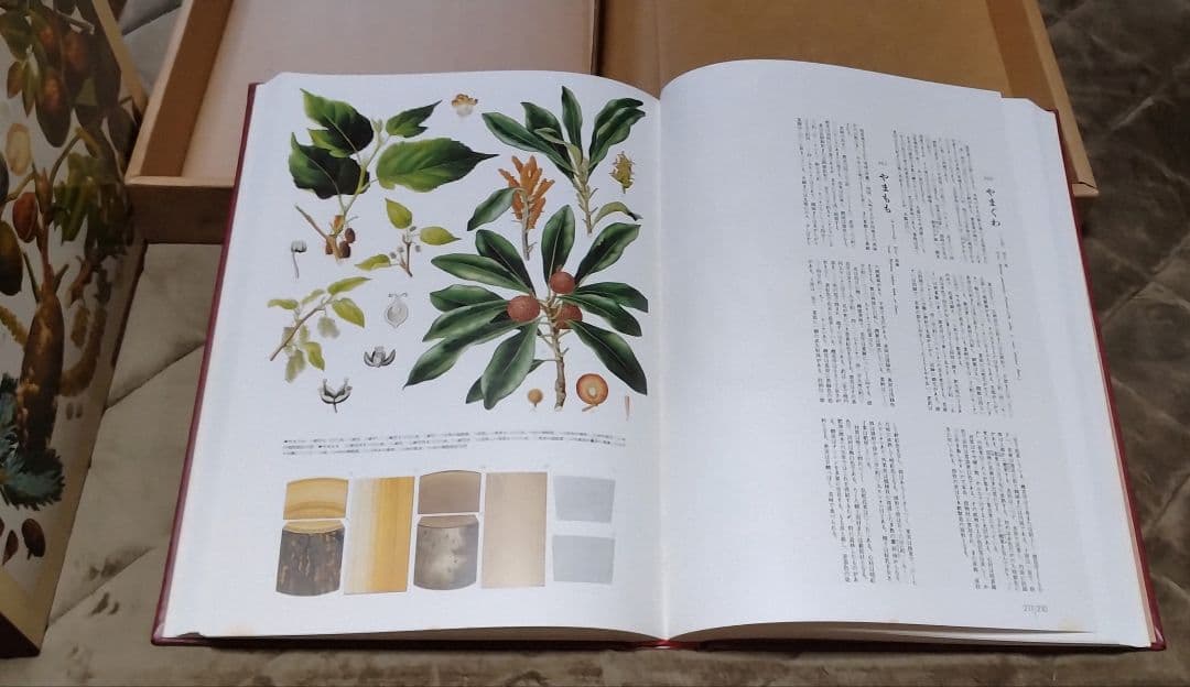 原色精密 日本森林樹木図譜 日本竹類図譜付　大型本 初版本