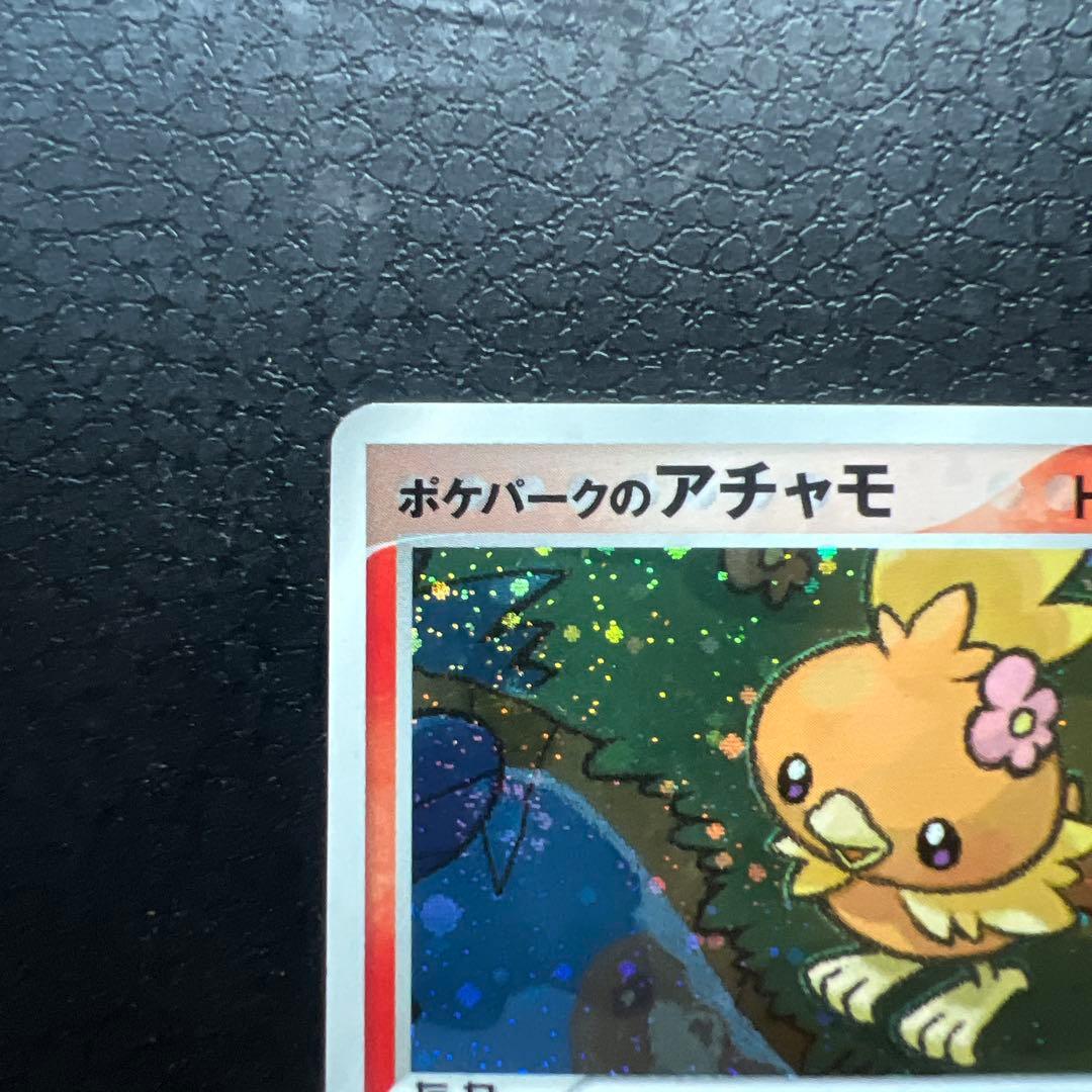 早いもの勝ち　ポケパークのアチャモ