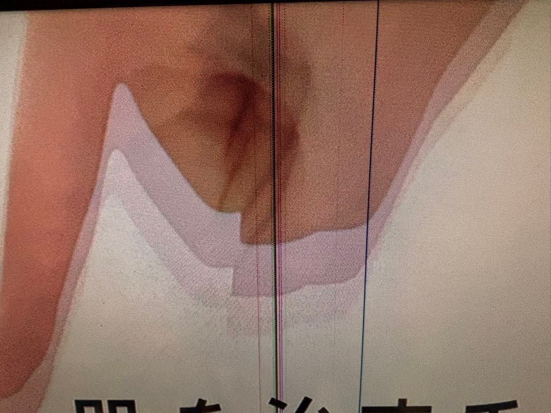 SONY BRAVIA 52型 液晶テレビ 画面に縦の線あり