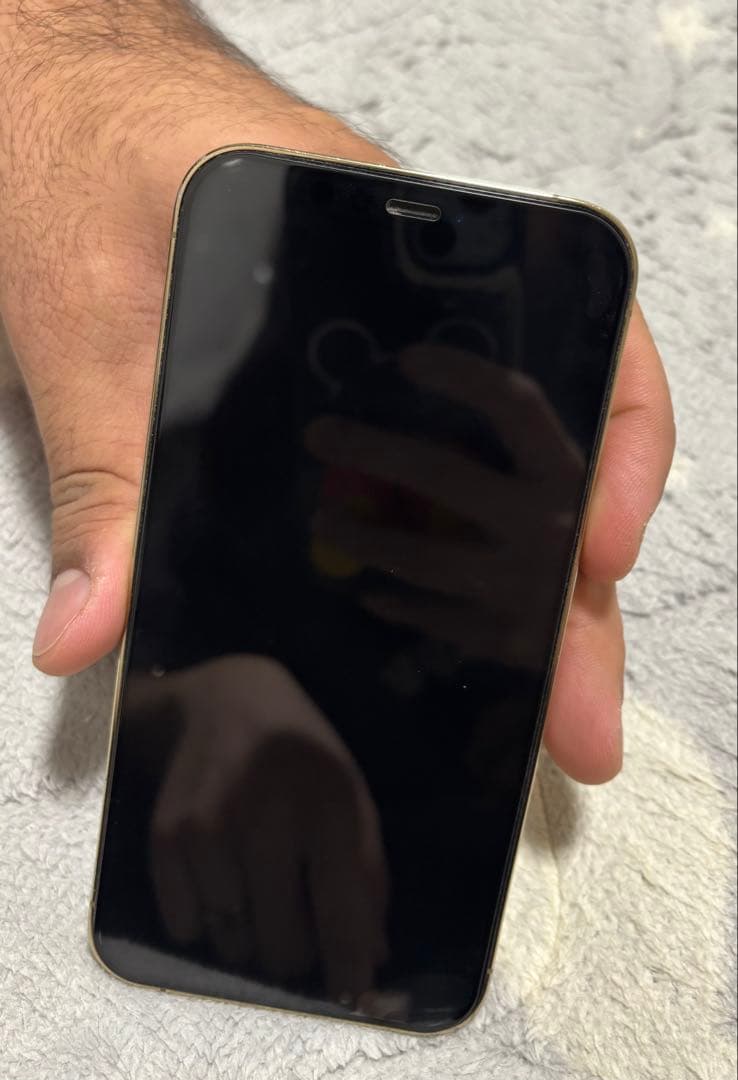 Apple iPhone 12 Pro シルバー 本体 256 Gb