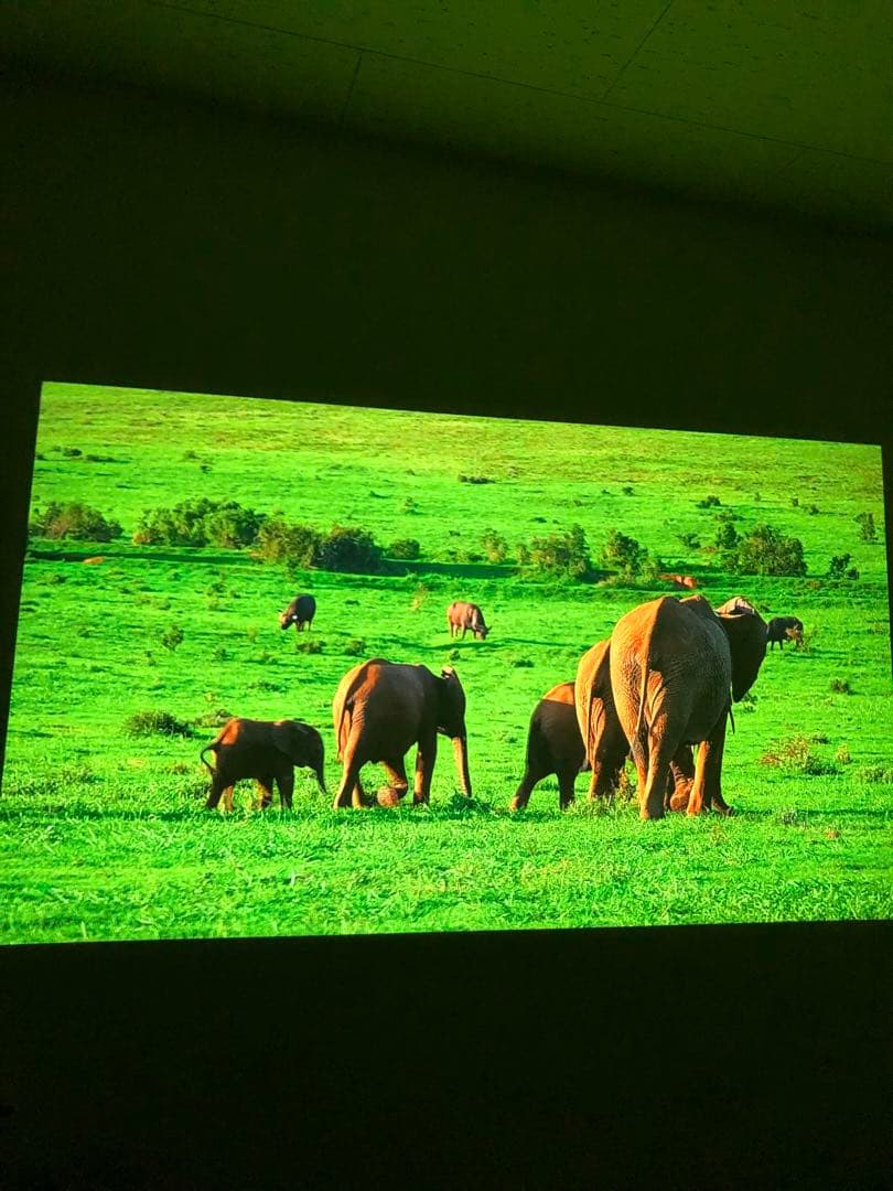 Anker Nebula Capsule II ネビュラカプセル2プロジェクター