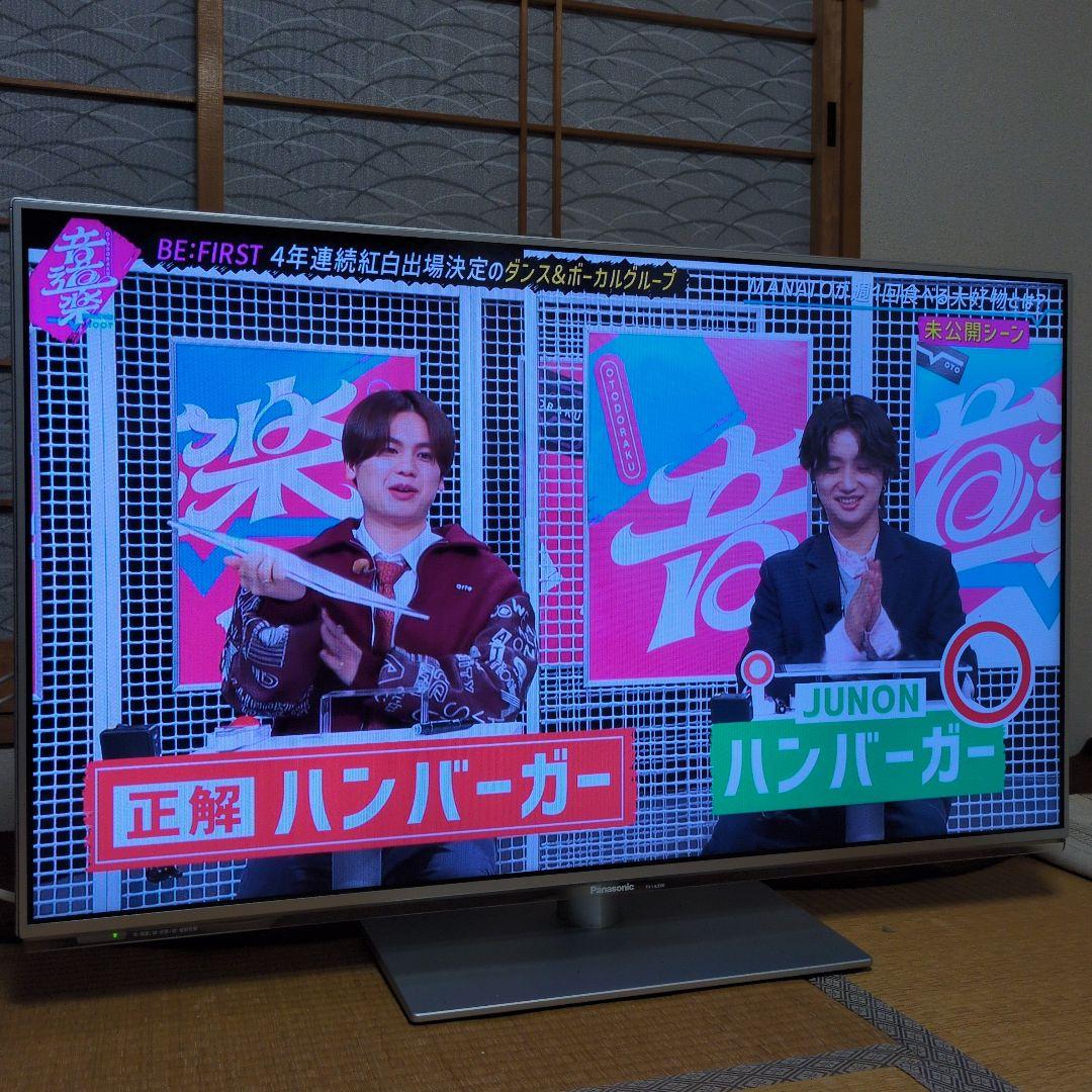 Panasonic TH-L42E60 42インチ 液晶テレビ