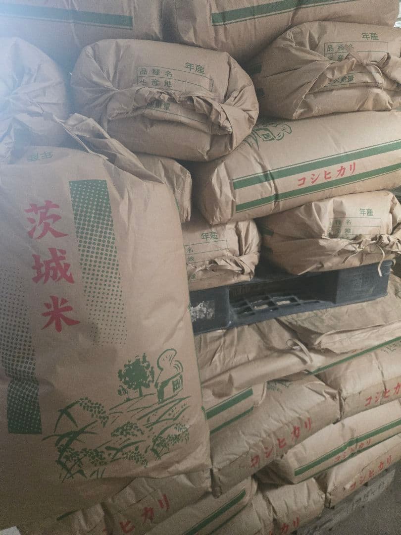 ちいさん　コシヒカリ30