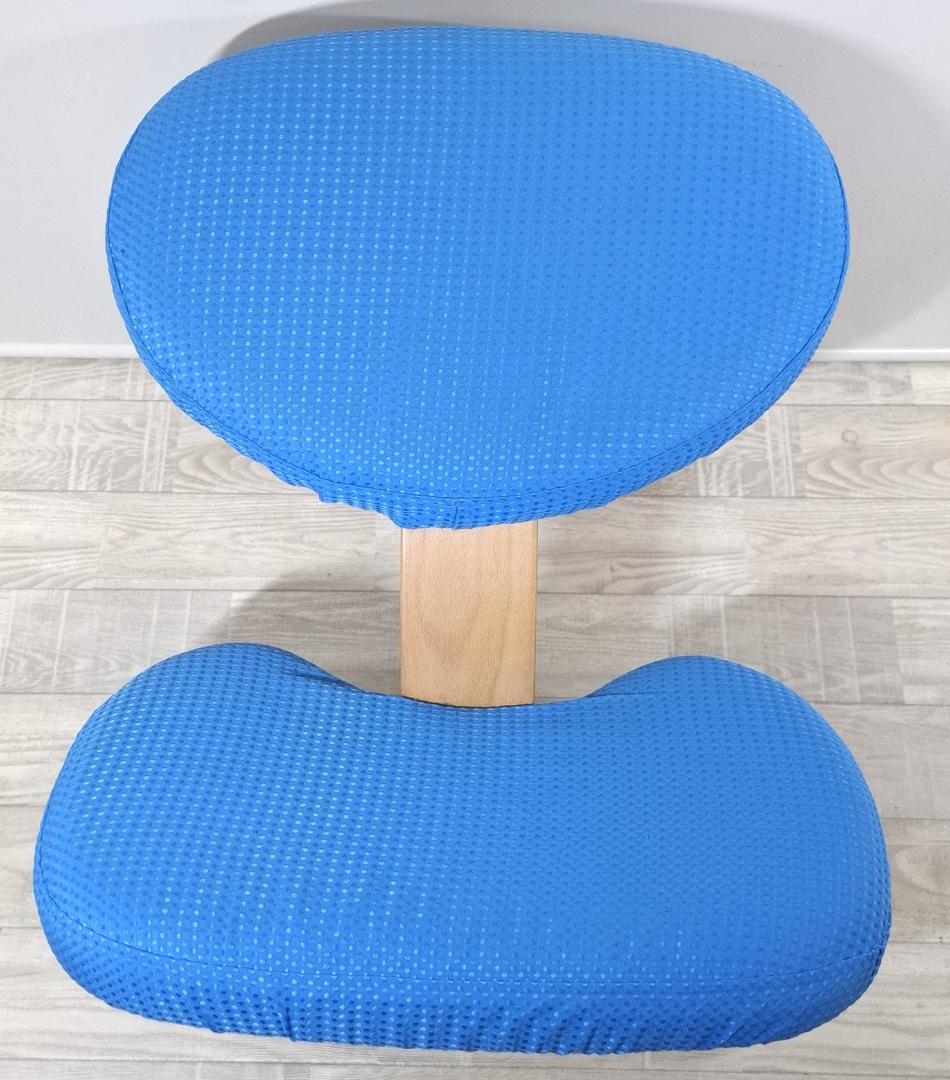 美品！★サカモトハウス★バランスチェア バランスイージー★専用カバー付★リボ社