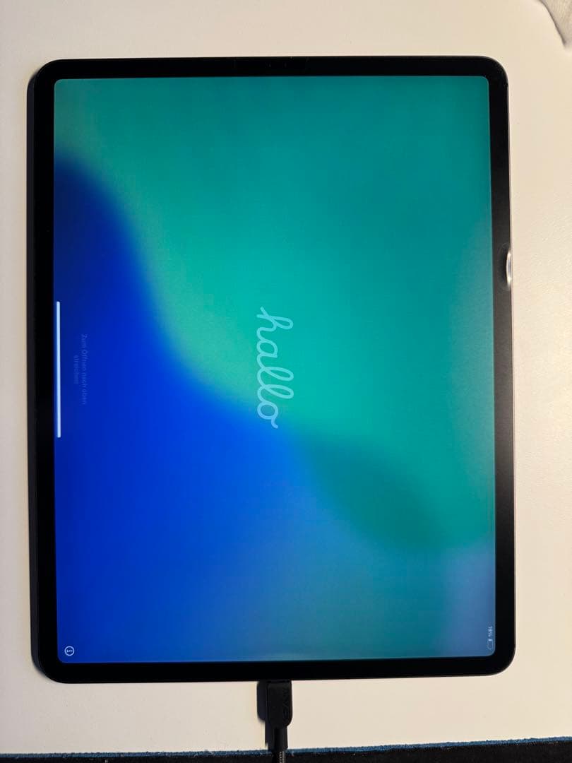 ジャンク　Apple iPad pro 12.9 第三世代256GB セルラー