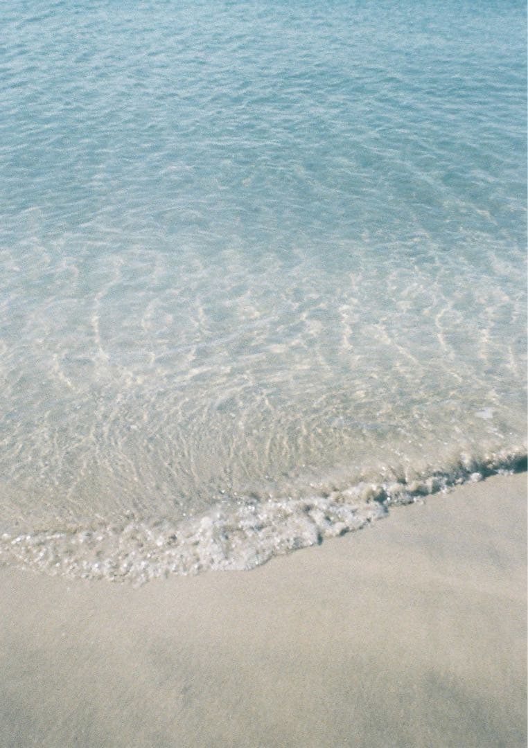 minolta repo ハーフカメラ　フィルムカメラ　オーバーホール済み