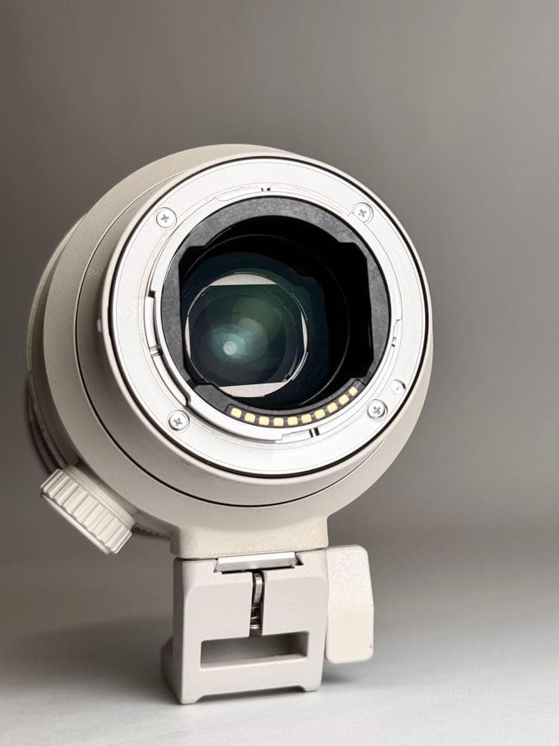 SONY FE 70-200mm F2.8 GM OSS II 望遠ズームレンズ