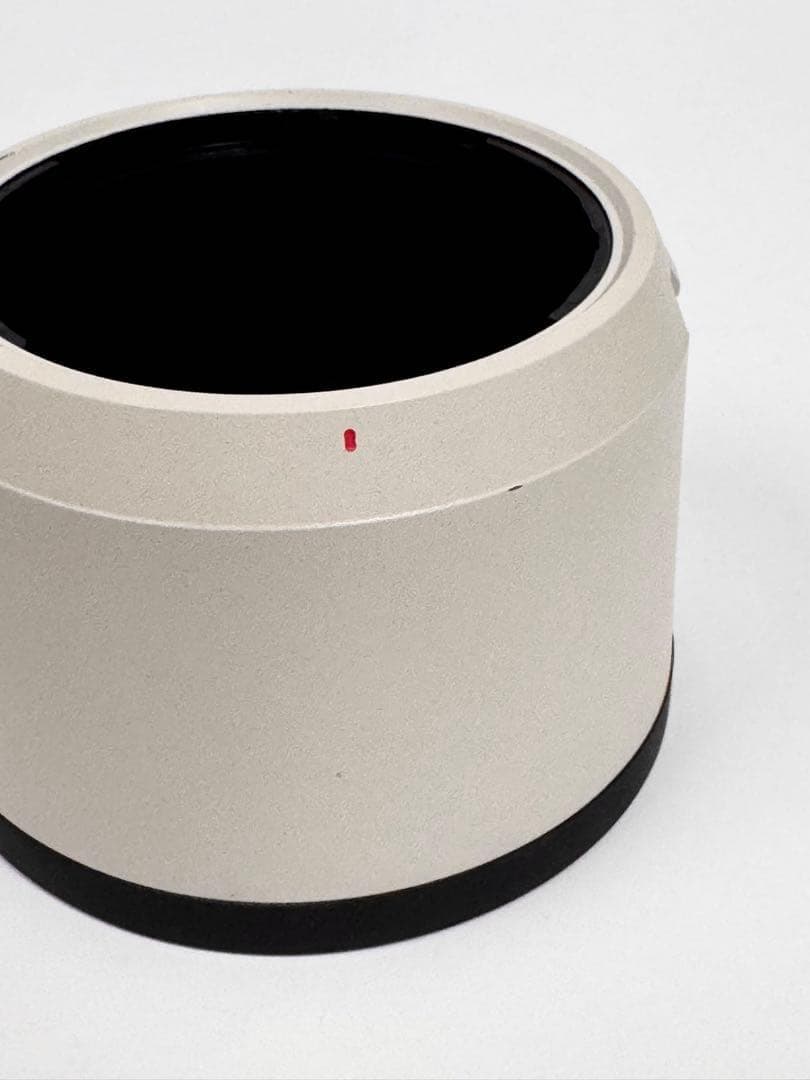 SONY FE 70-200mm F2.8 GM OSS II 望遠ズームレンズ