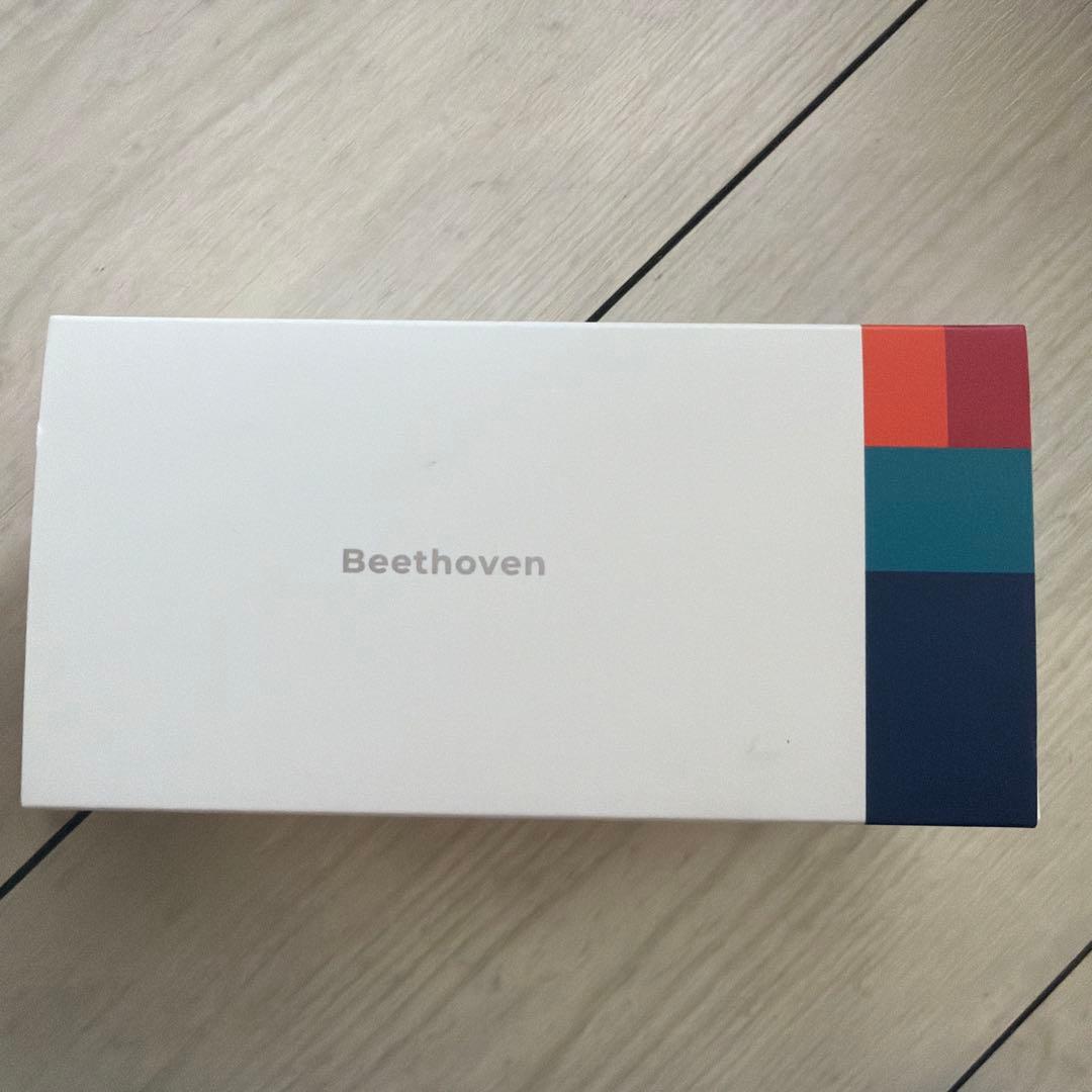 radius Beethoven HP-B100BT 骨伝導ワイヤレスイヤホン