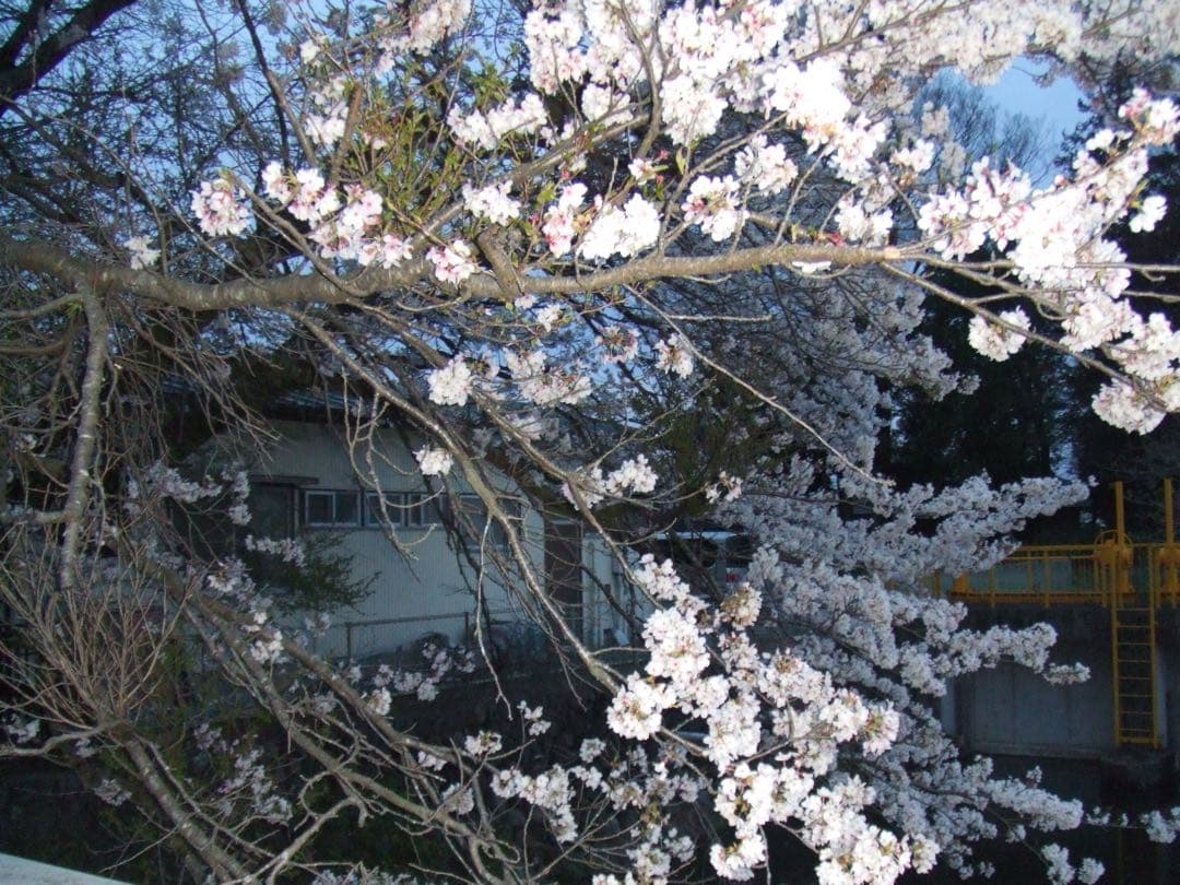 Fujifilm FinePix デジタルカメラ 動作確認済み　変換機　充電器付