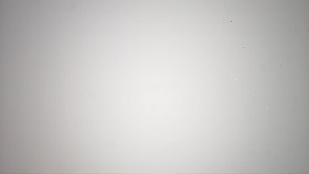 Vivo X90 Pro+ Fotorgearセット