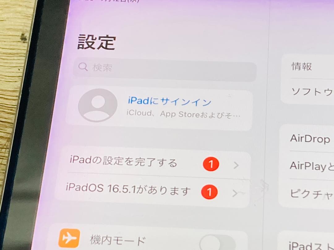 IPAD PRO 9.7インチ WI-FI 256GB グレイ 動作品