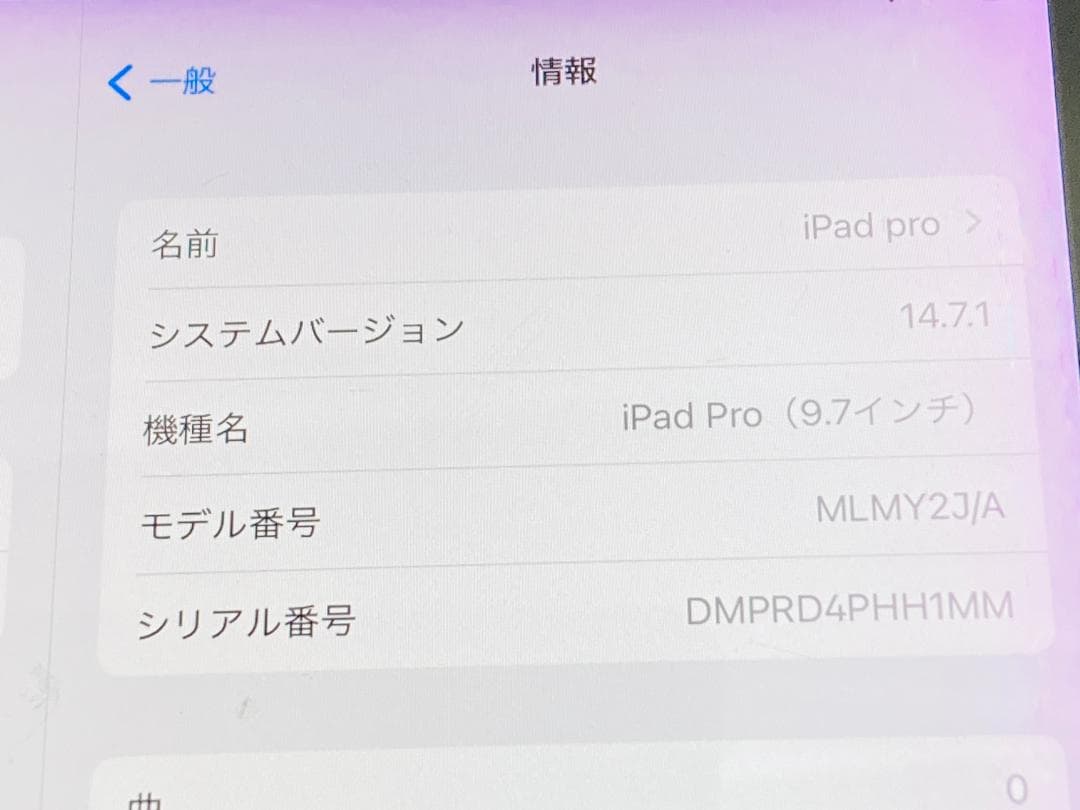 IPAD PRO 9.7インチ WI-FI 256GB グレイ 動作品