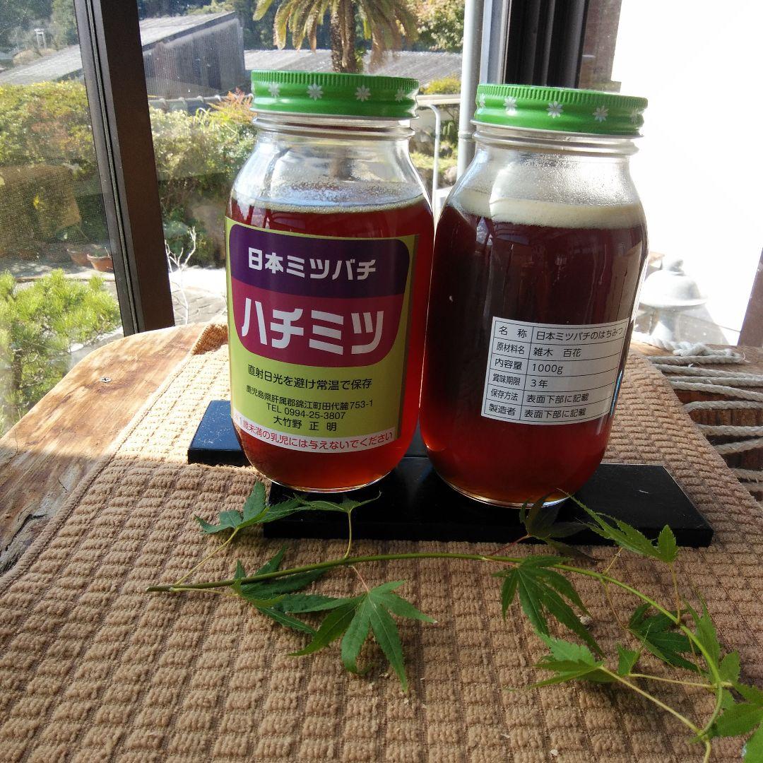 日本ミツバチ ハチミツ 100%瓶入り日本ミツバチのはちみつ