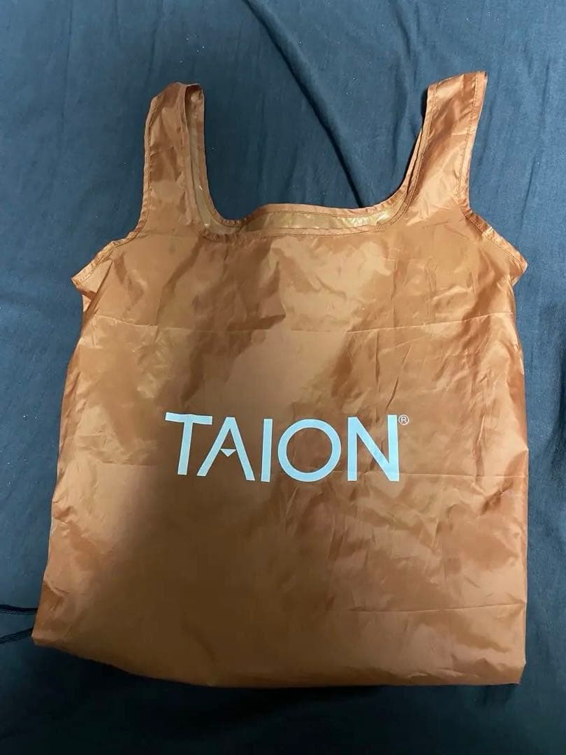 TAION-136PTWK work dawn painter ダウンパンツ