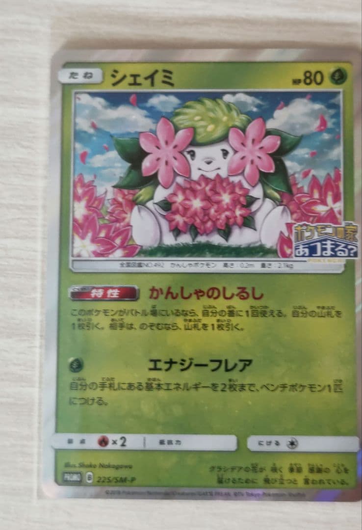 ピカチュウ ニコるん シェイミ しょこたん ポケモン カード セット