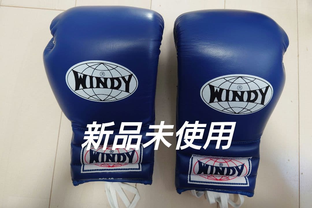 ＷＩＮＤＹ １６オンスグローブ　青　紐式